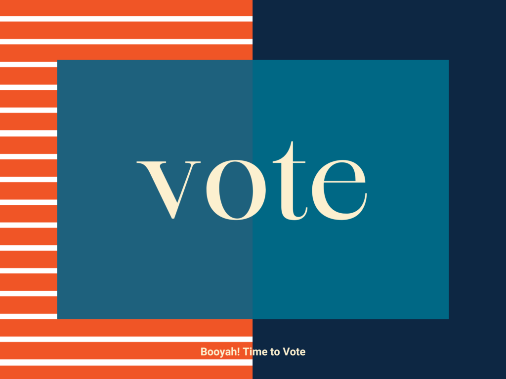 Time to Vote: What Political Marketing Can Teach Us About Our Own Campaigns  - Booyah Advertising